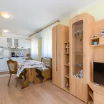 Boro Apartment Galizana