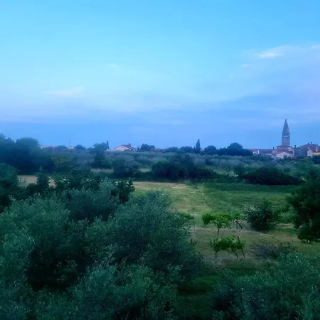 Boro * Galižana