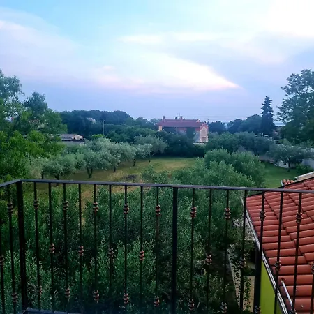 Boro Galižana