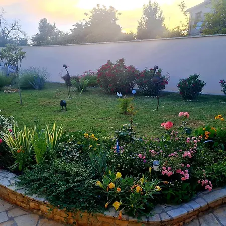 Boro Galižana
